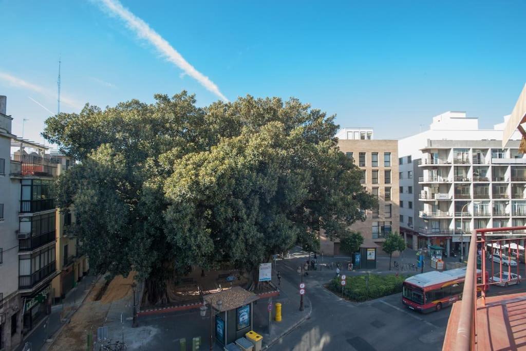 Penthouse!!! Center Of Seville!!! 2 Bedroom + 2 Bath!!! מראה חיצוני תמונה