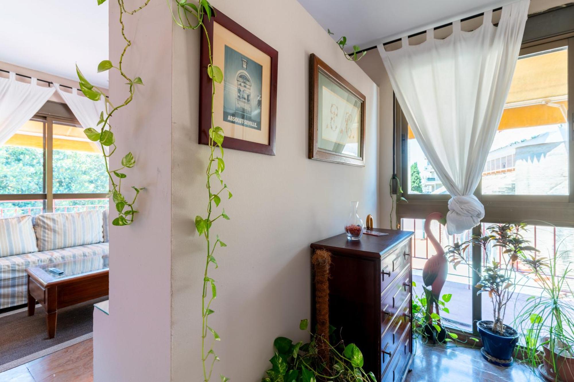 Penthouse!!! Center Of Seville!!! 2 Bedroom + 2 Bath!!! מראה חיצוני תמונה